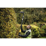 20V Pole Hedge Trimmer with Charger & FLEXVOLT 6Ah Battery 2pk Bundle DCPH820M1-DCB606-2