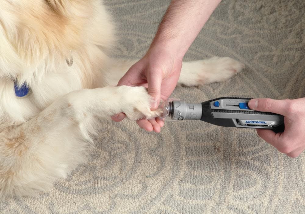 PawControl Variable Speed Cordless 4-volt Pet Grooming Rotary Tool Kit 7760-PGK