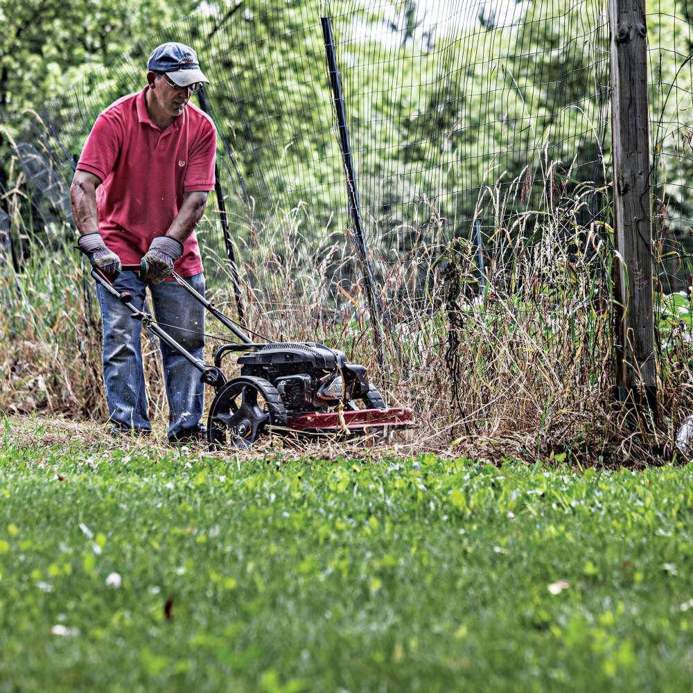 EQ String Lawn Mower Walk Behind 160cc Viper Commercial 40314