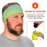 Chill Its 6634 Cooling Headband