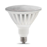 325W PAR38 5000K Reflector LED Bulb 1pk PAR38/50005KLED