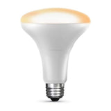 65W BR30 Apple HomeKit LED Smart Bulb 1pk BR30/SW/HK