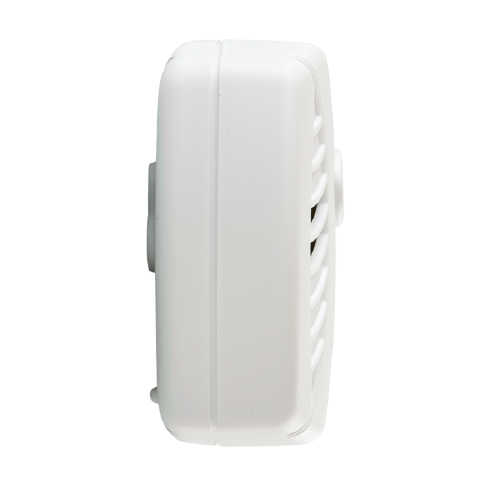 Carbon Monoxide Alarm Battery Operated 1039718