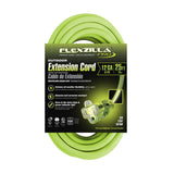 25 ft. Pro Extension Cord 12/3 AWG FZ512825