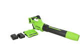 48V 515 CFM Cordless Leaf Blower Kit with 2Ah USB Batteries & Dual Charger 2414602