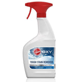 Oxy Spot and Stain Remover Pretreat 22oz AH30902