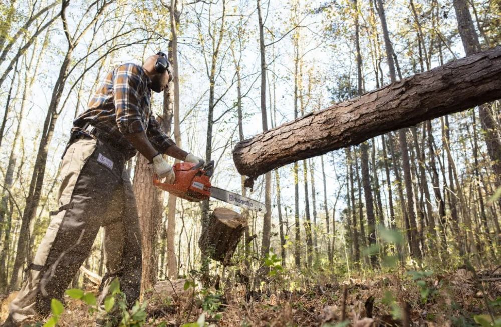 460 Rancher 24in 60.3 cc 3.62HP Gas Powered Chainsaw 970 61 39-34