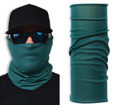 Face Guard Mask - Teal TEAL