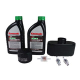 SAE 10W-40 Oil Tune-Up Kit for FH580V KAI Model Engines 99969-6533A