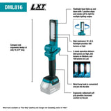 18V LXT Lithium-Ion Cordless 18 L.E.D. Flashlight (Bare Tool) DML816