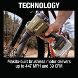 Outdoor Adventure 18V LXT Brushless Cordless High Speed Blower/Inflator (Bare Tool) ADSA01Z