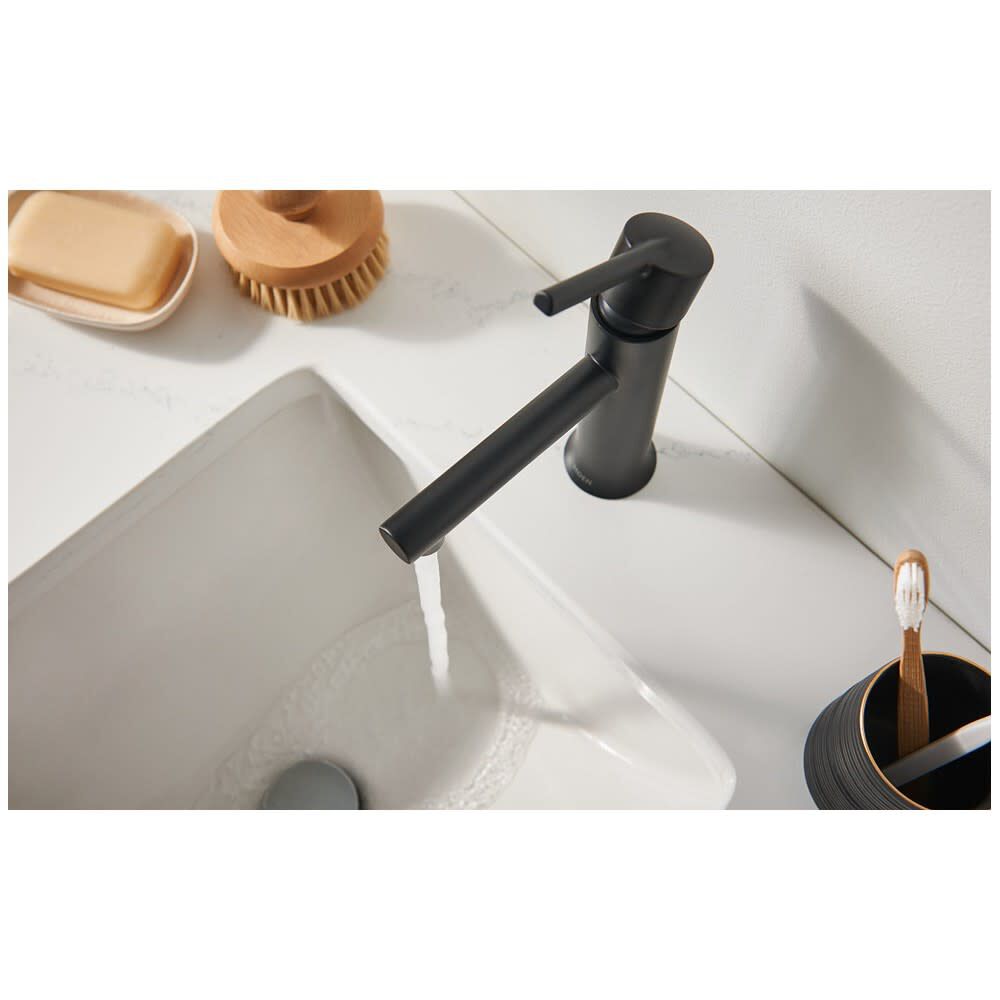 Arlys Bathroom Faucet Black 1 Handle Low Arc Low Profile 84770BL