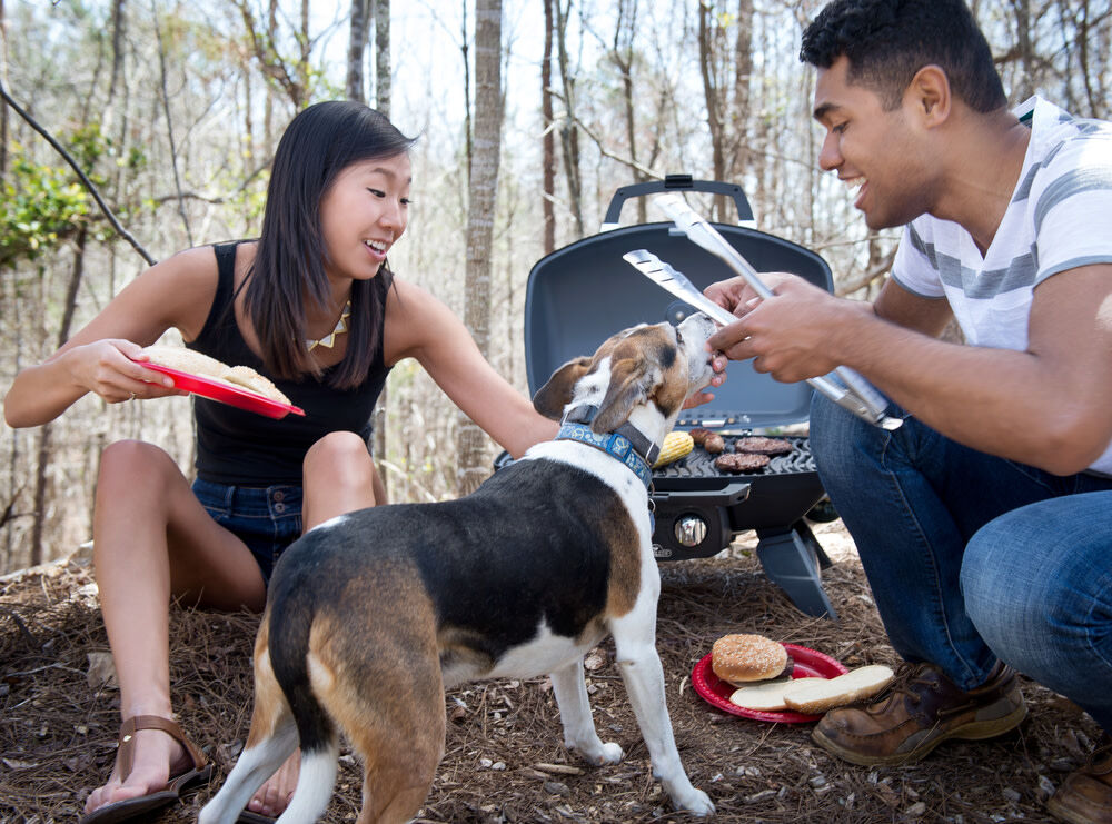 TravelQ 285 Portable Propane Gas Grill Blue TQ285-BL-1