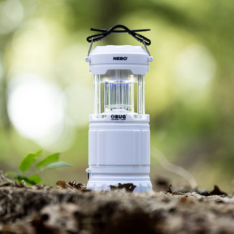 Z-Bug Lantern & Light 6587