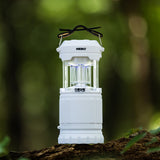 Z-Bug Lantern & Light 6587