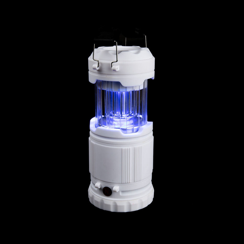 Z-Bug Lantern & Light 6587