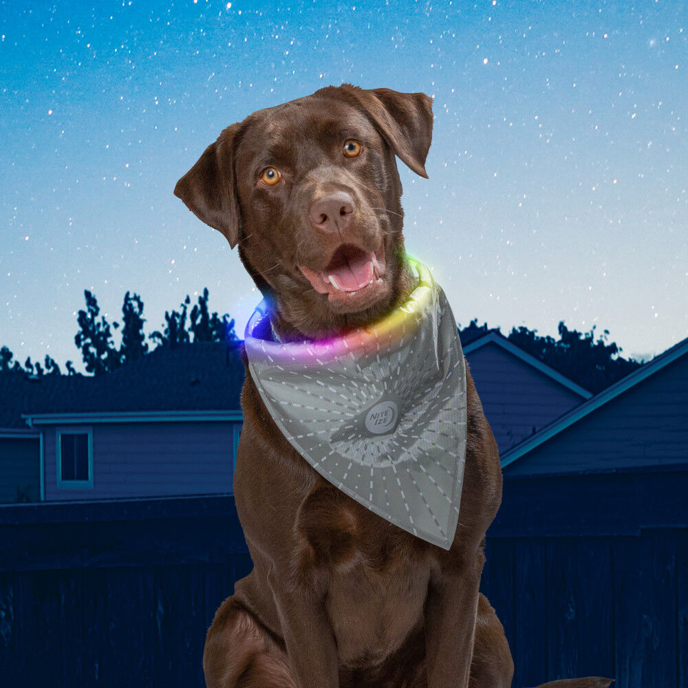 NiteHowl Bandana LED Safety Necklace Disc-O Select Grey NHOR-B0907S-R8