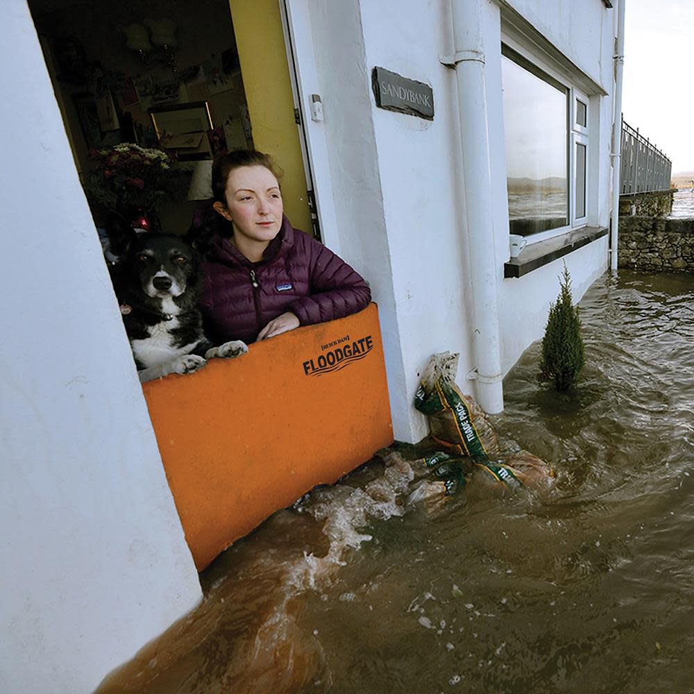 Expanding Doorway Flood Barrier Fits 30 in. to 35 in. QDFG30