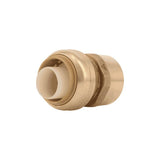 1in Push T x 1in D FPT Brass Push Female Connector U094LFA