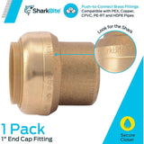 1in Push to Connect Brass End Cap U520LFA