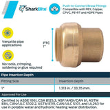 1in Push to Connect Brass End Cap U520LFA