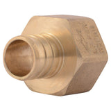 3/4in x 3/4in FNPT Brass Crimp Female Connector UC088LFA5