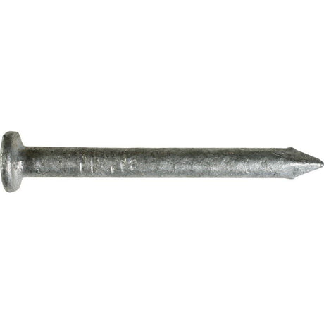 Strong-Tie 10 Gauge HDG 10d Strong-Drive SCN Smooth-Shank Connector Nail N10D5HDG-R