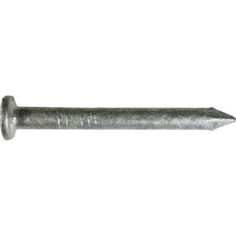 Strong-Tie 10 Gauge HDG 8d Strong-Drive SCN Smooth-Shank Connector Nail N8D5HDG-R