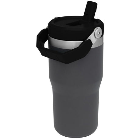 20 Oz Insulated The Iceflow Flip Straw Tumbler Charcoal 10-09994-002