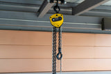 Chain Hoist 1 Ton with 20' Chain Fall 787410