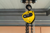 Chain Hoist 1 Ton with 20' Chain Fall 787410