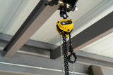 Chain Hoist 1/4 Ton with 10' Chain Fall 787400