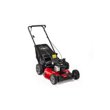 140cc 21in Gas Push Lawn Mower 21311