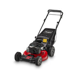 Recycler 21-in Gas Self-propelled Lawn Mower with 140-cc Briggs and Stratton Engine 21321