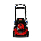 Recycler 22-in Gas Self-propelled Lawn Mower with 163-cc Briggs and Stratton Engine 21463