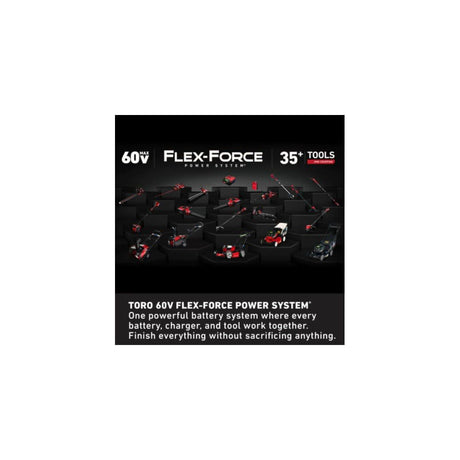 Flex Force 60V max 5Ah Battery 88650