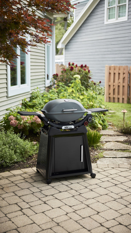 Q2800N+ Gas Grill (Liquid Propane) with Stand Bundle, Charcoal Grey 1500393