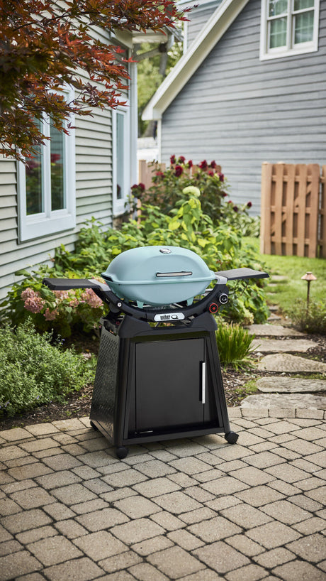 Q2800N+ Gas Grill (Liquid Propane) with Stand Bundle, Sky Blue 1500394