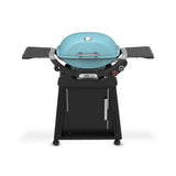 Q2800N+ Gas Grill (Liquid Propane) with Stand Bundle, Sky Blue 1500394