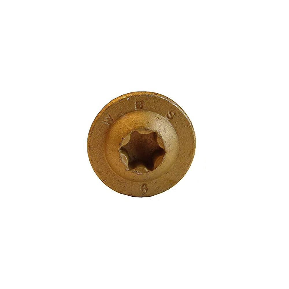 2-1/2 In. Bronze Round Washer Head Type 17 Construction Lag Screw CTX14212