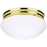 2Light Interior Polished Brass Ceiling Light Fixture 6660948