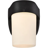 8W 620 Lumens Black LED Outdoor Wall Light Fixture 61067