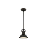 9W Boswell One Light LED Indoor Mini Pendant 63082A