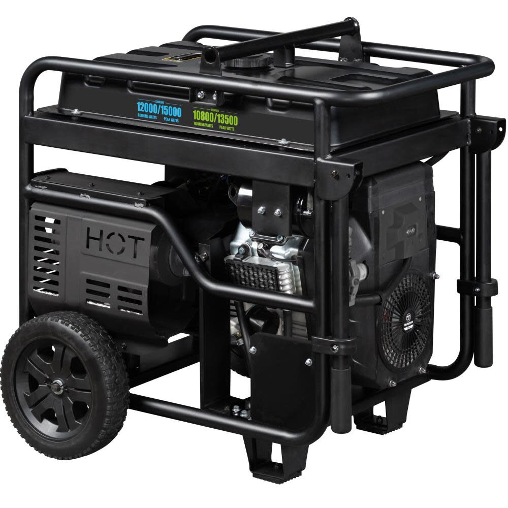 Dual Fuel Portable Generator with CO Sensor WGEN12000DFC