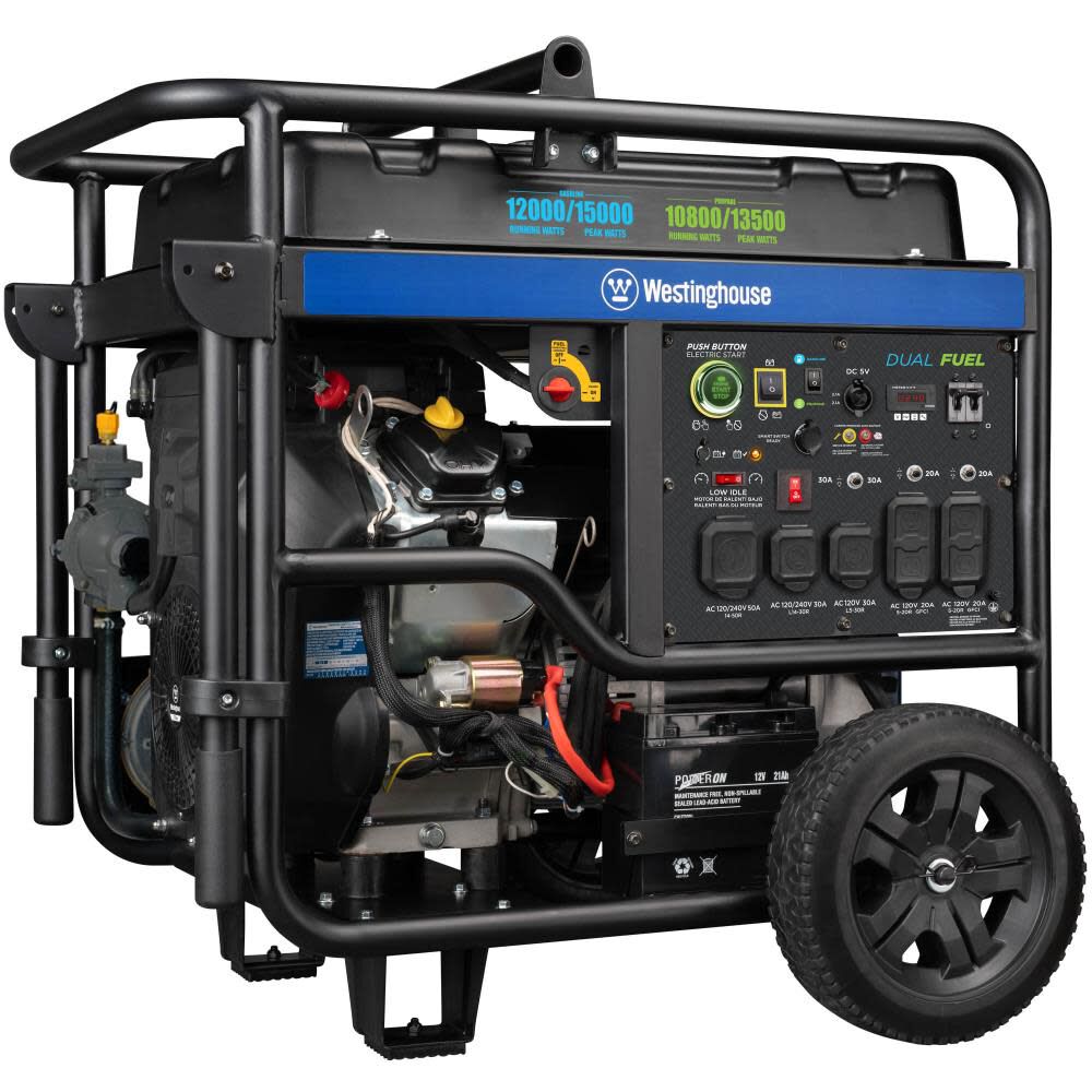 Dual Fuel Portable Generator with CO Sensor WGEN12000DFC