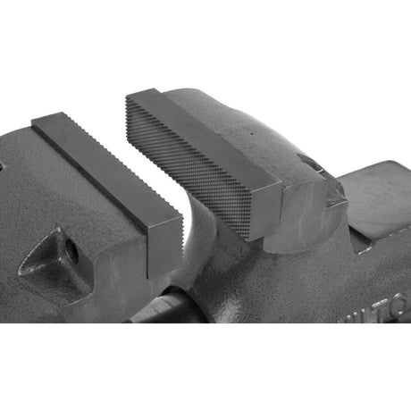 Machinists Bench Vise 28833