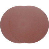 12 Inch 60 Grit Aluminum Oxide Sanding Disc 2pk D1335