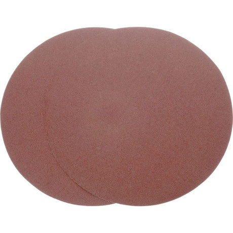 12 Inch 60 Grit Aluminum Oxide Sanding Disc 2pk D1335