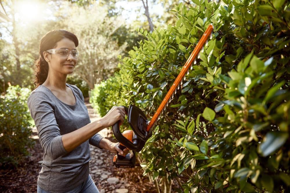 POWER SHARE 20-Volt Li-Ion 22 in. Electric Cordless Hedge Trimmer 3/4 in. Cutting Capacity Battery and Charger Included WG261